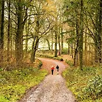 3 Bed In Grange-over-sands Oc-66725 Casa de Férias Holker