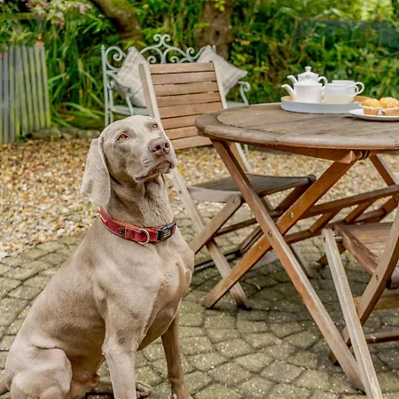 3 Bed In Grange-over-sands Oc-66725 Vakantiehuis *