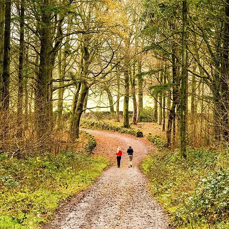 3 Bed In Grange-over-sands Oc-66725 Vakantiehuis *